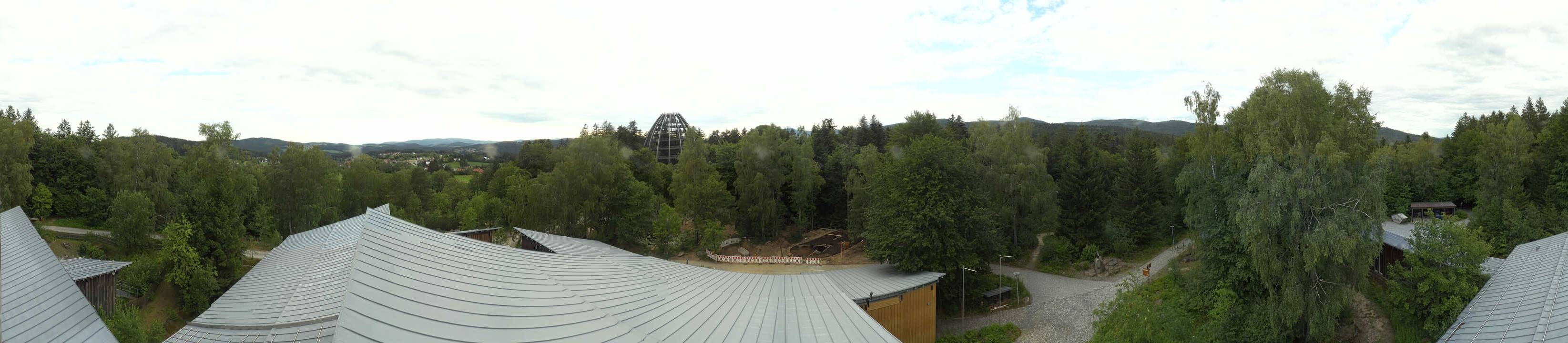 Archiv Foto Webcam Neuschönau - Baumwipfelpfad Bayerischer Wald