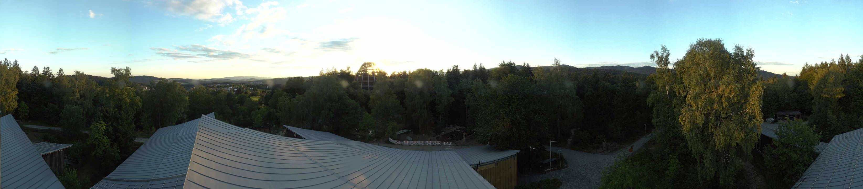 Archived image Webcam Neuschönau - Tree Top Walk Bavarian Forest