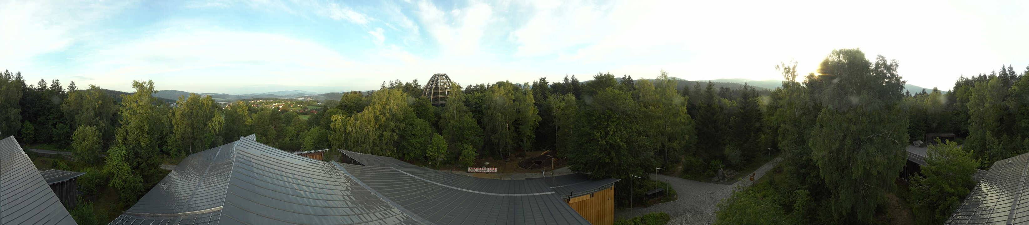 Archiv Foto Webcam Neuschönau - Baumwipfelpfad Bayerischer Wald
