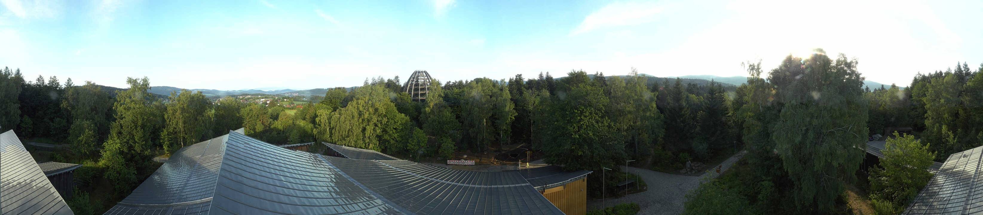 Archiv Foto Webcam Neuschönau - Baumwipfelpfad Bayerischer Wald