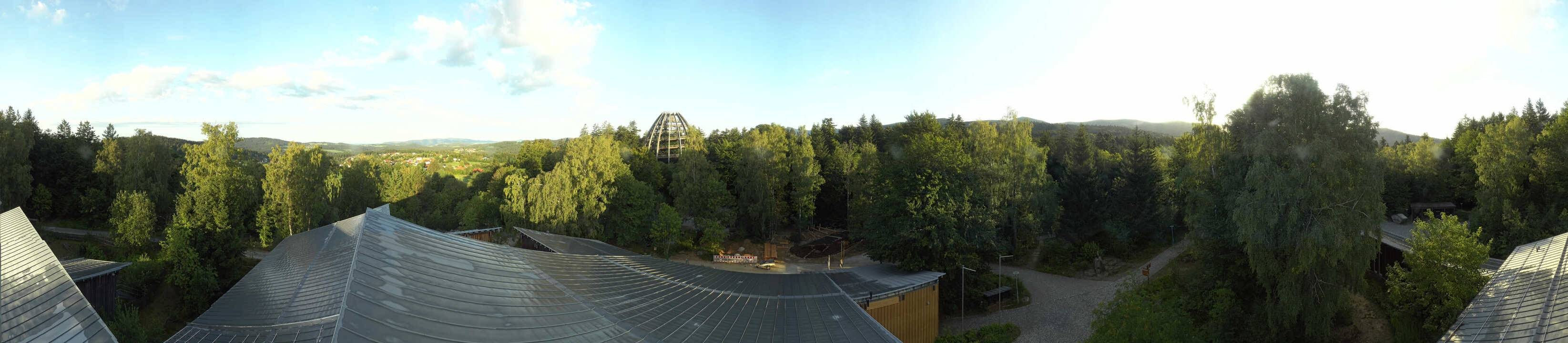 Archiv Foto Webcam Neuschönau - Baumwipfelpfad Bayerischer Wald
