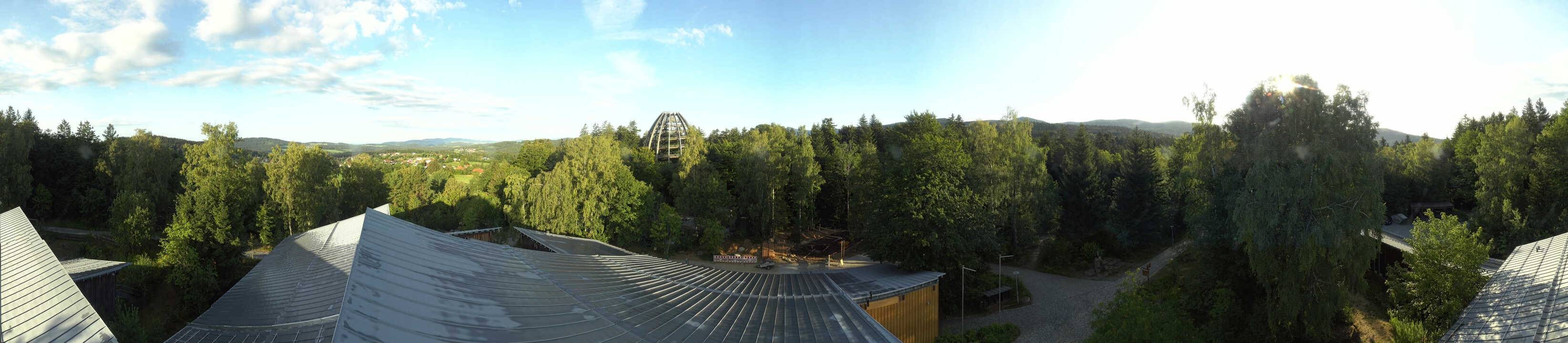 Archiv Foto Webcam Neuschönau - Baumwipfelpfad Bayerischer Wald