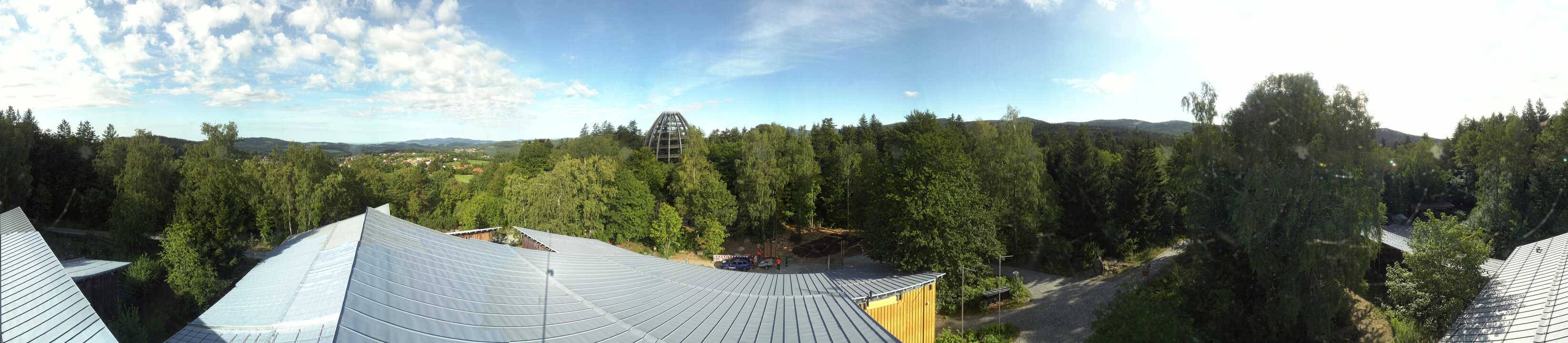 Archiv Foto Webcam Neuschönau - Baumwipfelpfad Bayerischer Wald