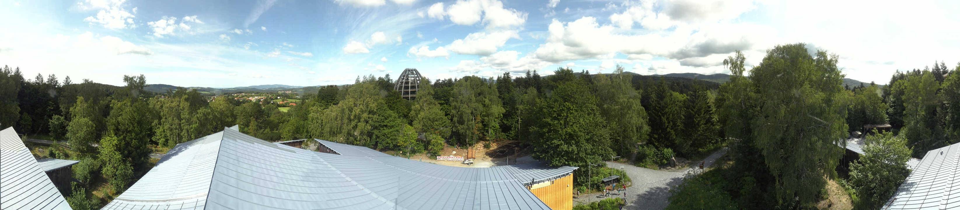 Archiv Foto Webcam Neuschönau - Baumwipfelpfad Bayerischer Wald