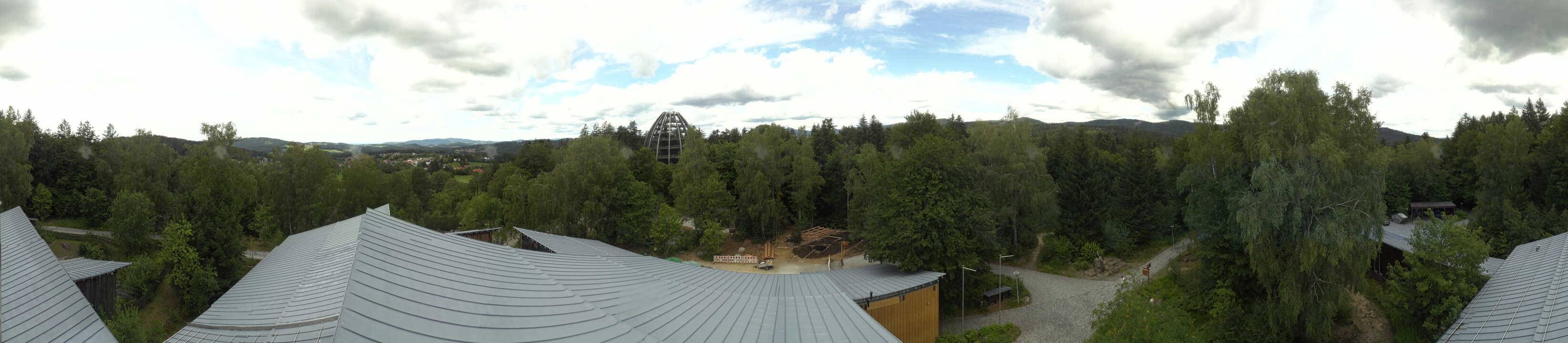 Archiv Foto Webcam Neuschönau - Baumwipfelpfad Bayerischer Wald