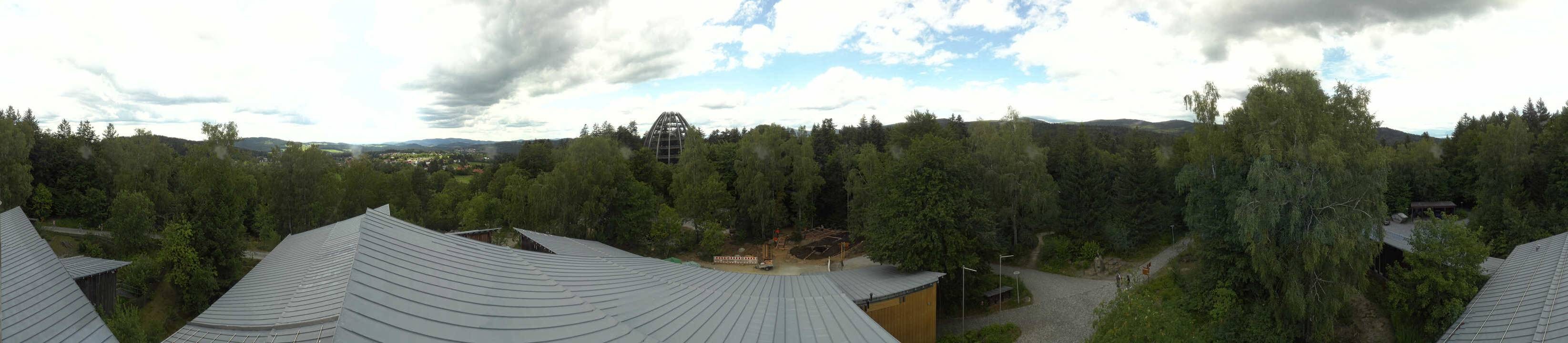 Archived image Webcam Neuschönau - Tree Top Walk Bavarian Forest