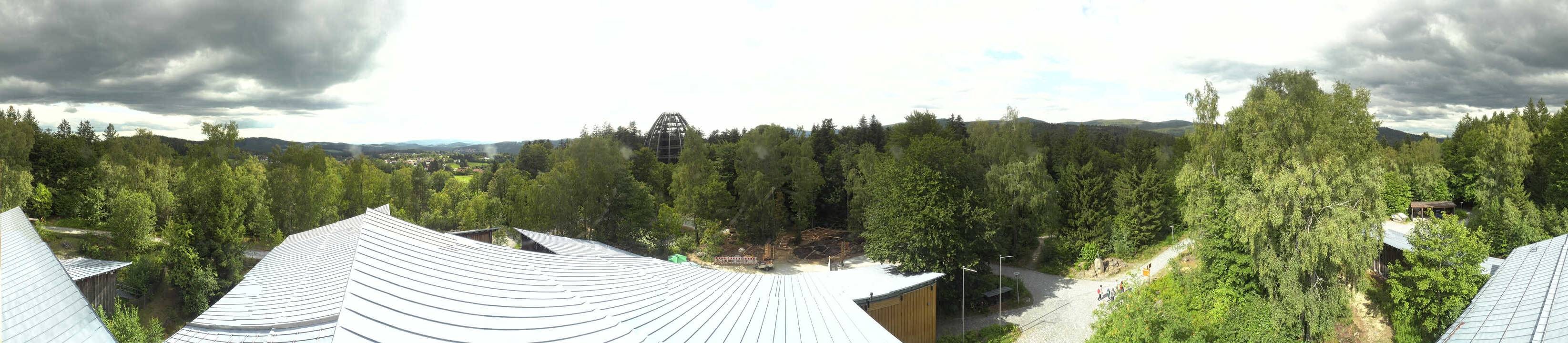 Archived image Webcam Neuschönau - Tree Top Walk Bavarian Forest