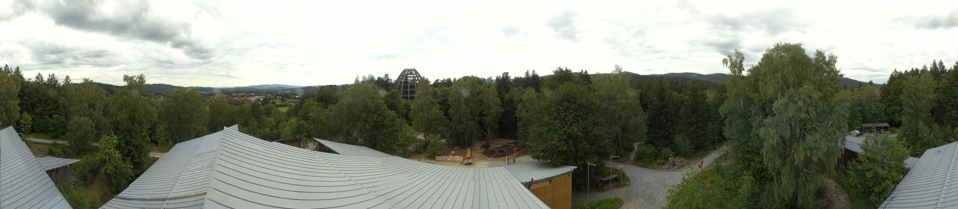 Archiv Foto Webcam Neuschönau - Baumwipfelpfad Bayerischer Wald
