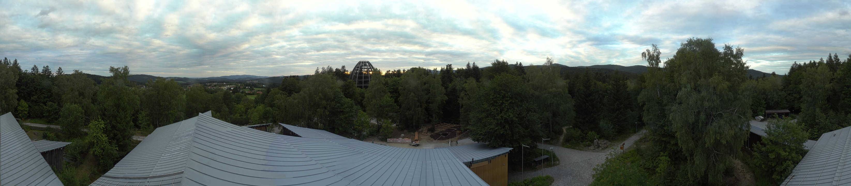 Archiv Foto Webcam Neuschönau - Baumwipfelpfad Bayerischer Wald