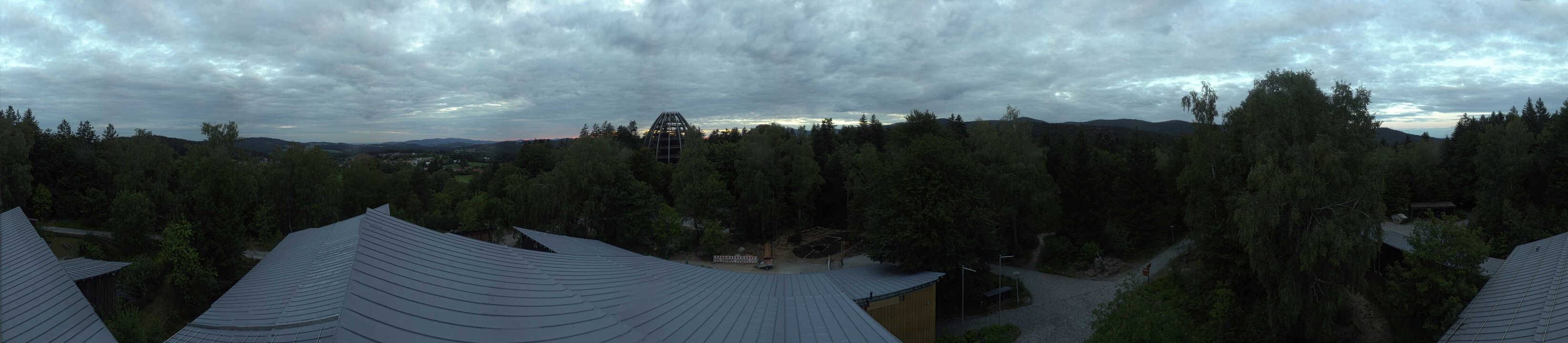 Archiv Foto Webcam Neuschönau - Baumwipfelpfad Bayerischer Wald