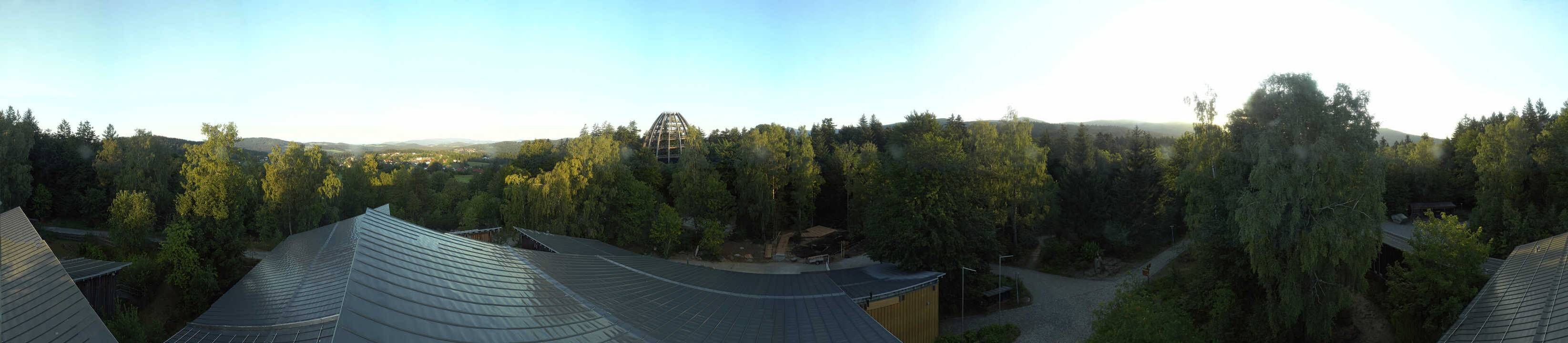 Archiv Foto Webcam Neuschönau - Baumwipfelpfad Bayerischer Wald