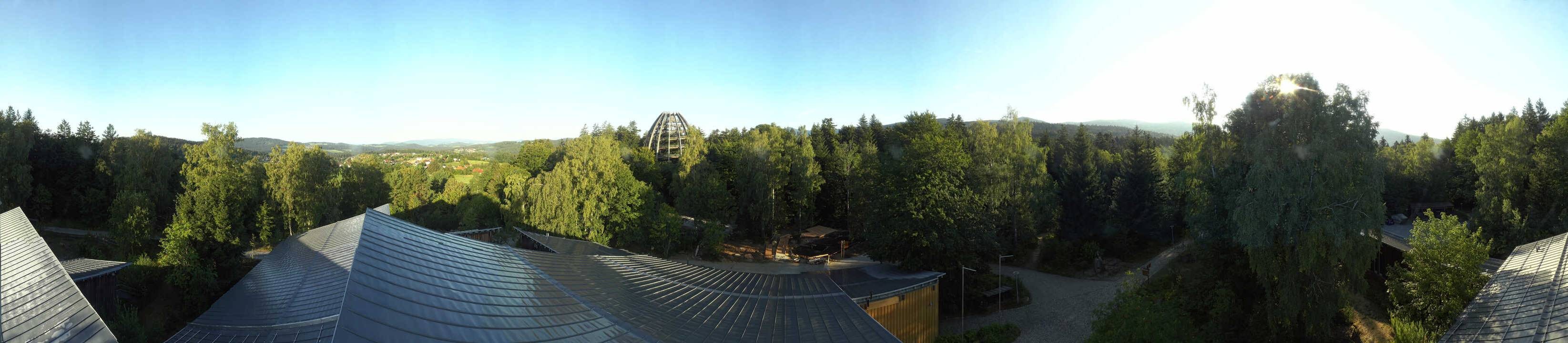 Archiv Foto Webcam Neuschönau - Baumwipfelpfad Bayerischer Wald