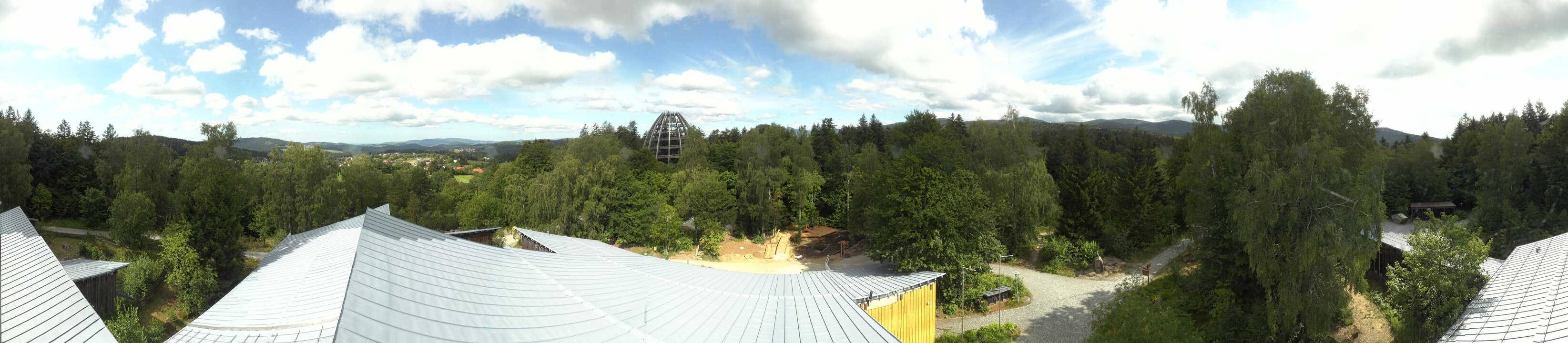 Archiv Foto Webcam Neuschönau - Baumwipfelpfad Bayerischer Wald