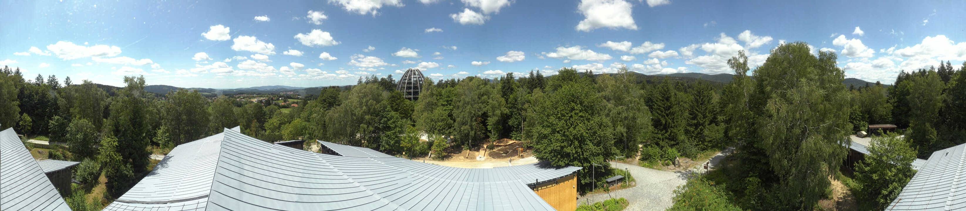 Archiv Foto Webcam Neuschönau - Baumwipfelpfad Bayerischer Wald