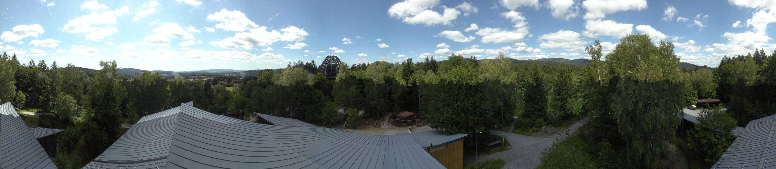 Archiv Foto Webcam Neuschönau - Baumwipfelpfad Bayerischer Wald