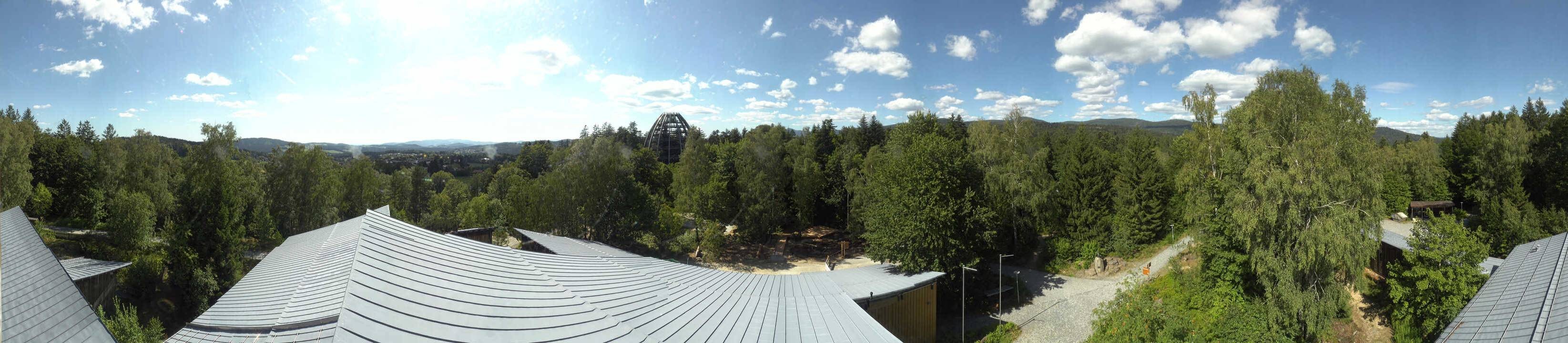 Archiv Foto Webcam Neuschönau - Baumwipfelpfad Bayerischer Wald