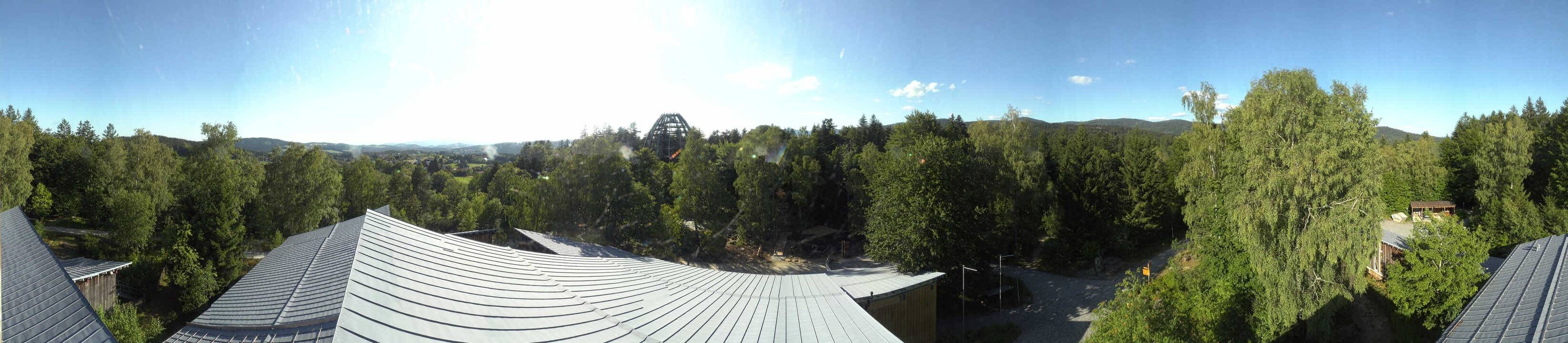 Archiv Foto Webcam Neuschönau - Baumwipfelpfad Bayerischer Wald
