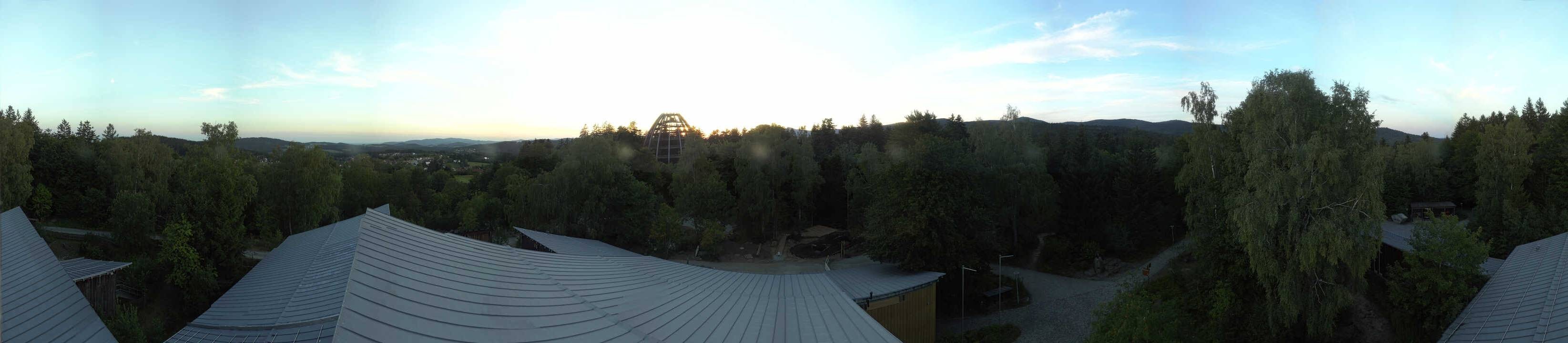 Archiv Foto Webcam Neuschönau - Baumwipfelpfad Bayerischer Wald