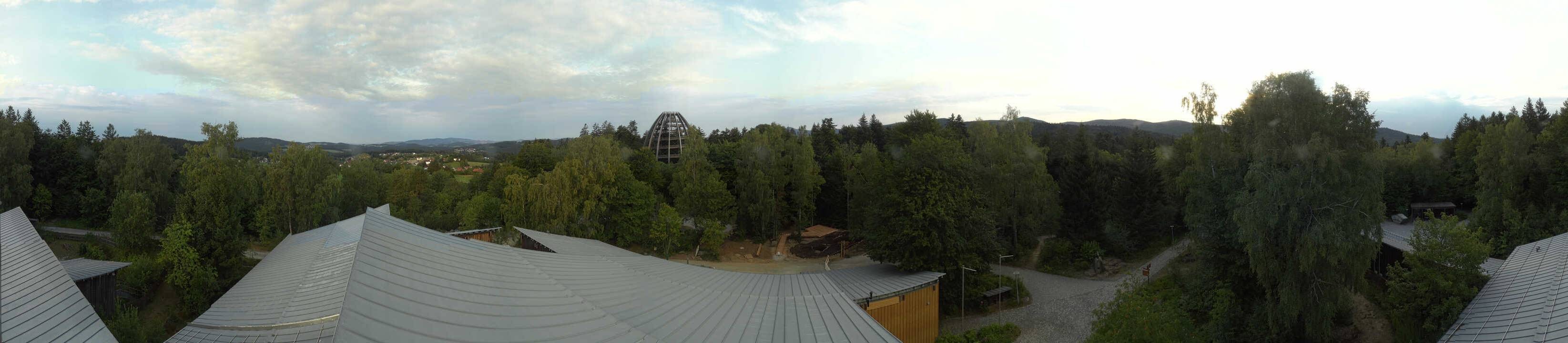 Archiv Foto Webcam Neuschönau - Baumwipfelpfad Bayerischer Wald