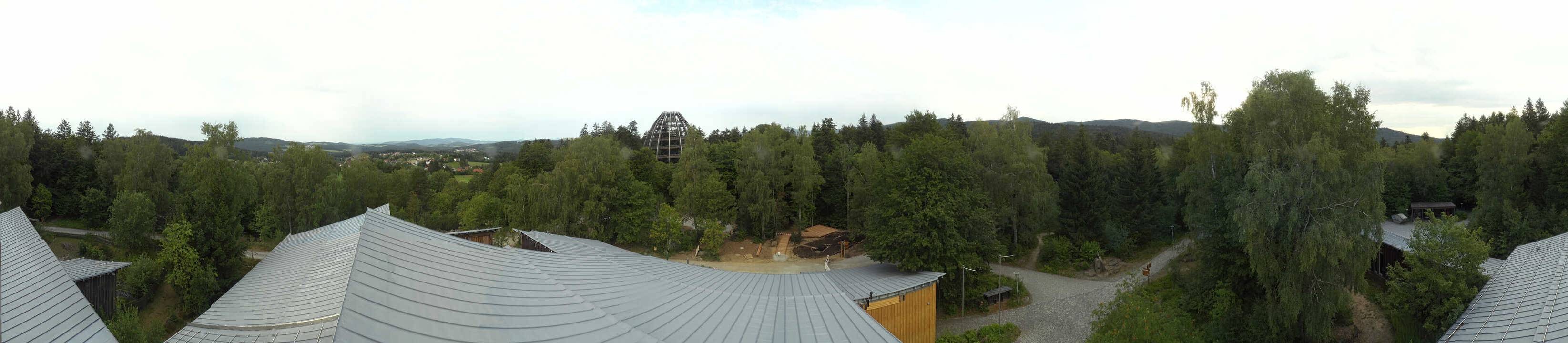 Archiv Foto Webcam Neuschönau - Baumwipfelpfad Bayerischer Wald