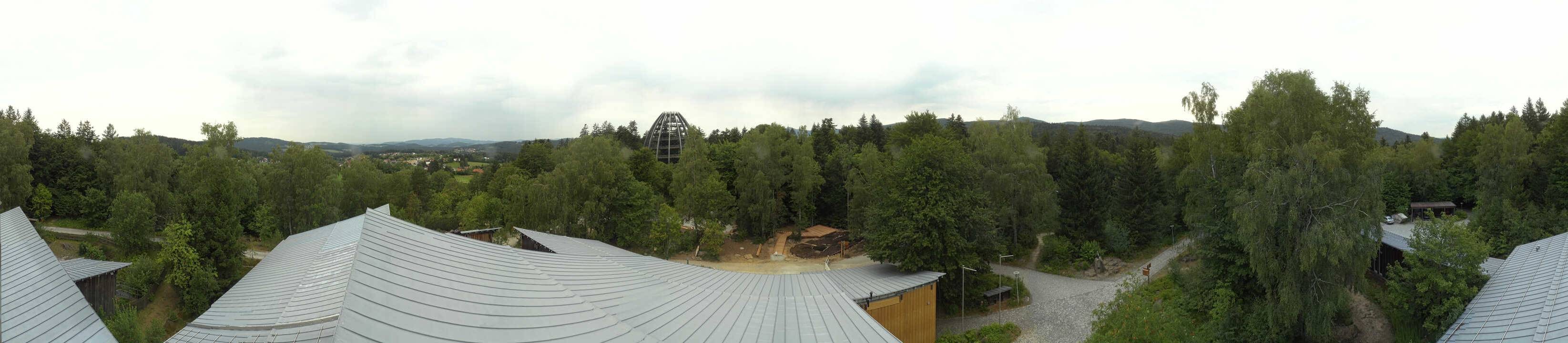 Archiv Foto Webcam Neuschönau - Baumwipfelpfad Bayerischer Wald