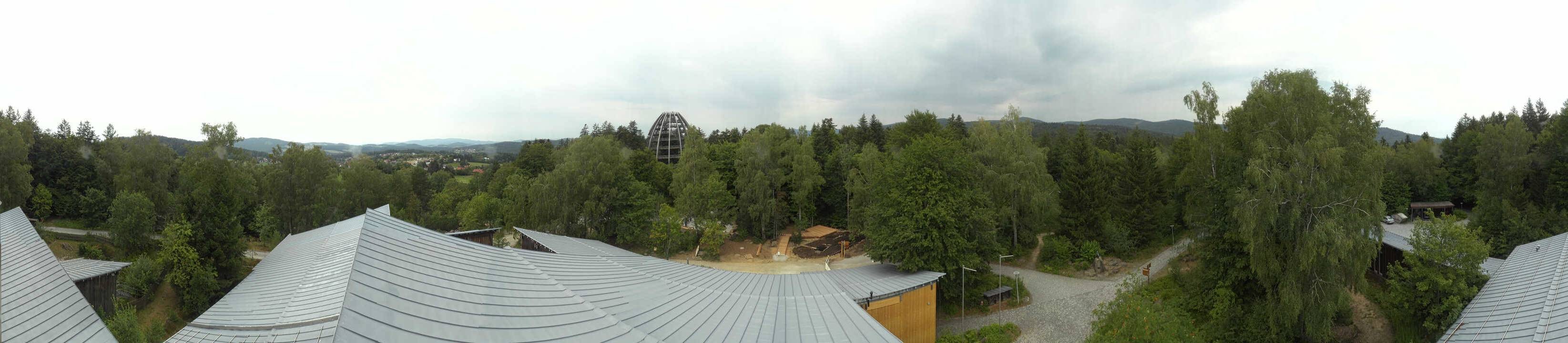 Archiv Foto Webcam Neuschönau - Baumwipfelpfad Bayerischer Wald
