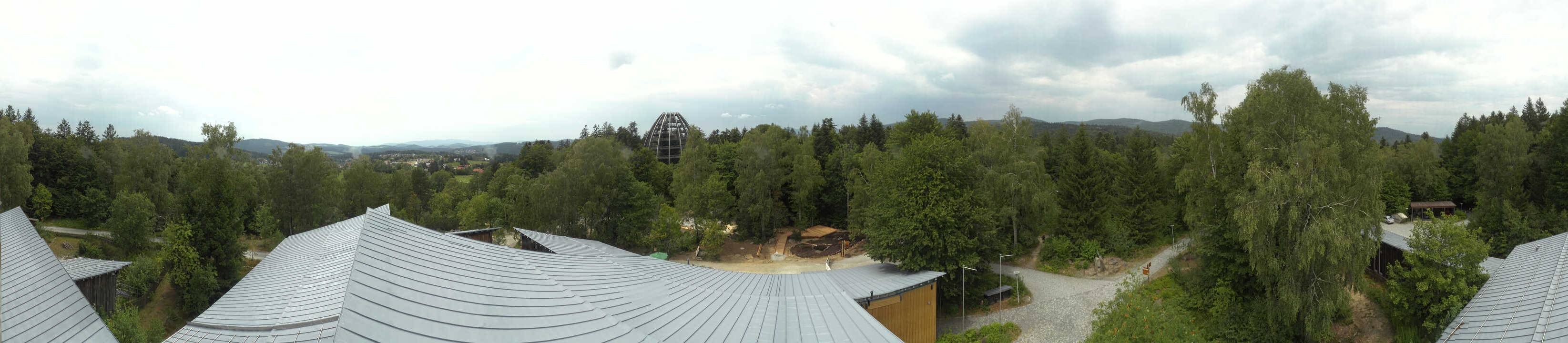Archiv Foto Webcam Neuschönau - Baumwipfelpfad Bayerischer Wald