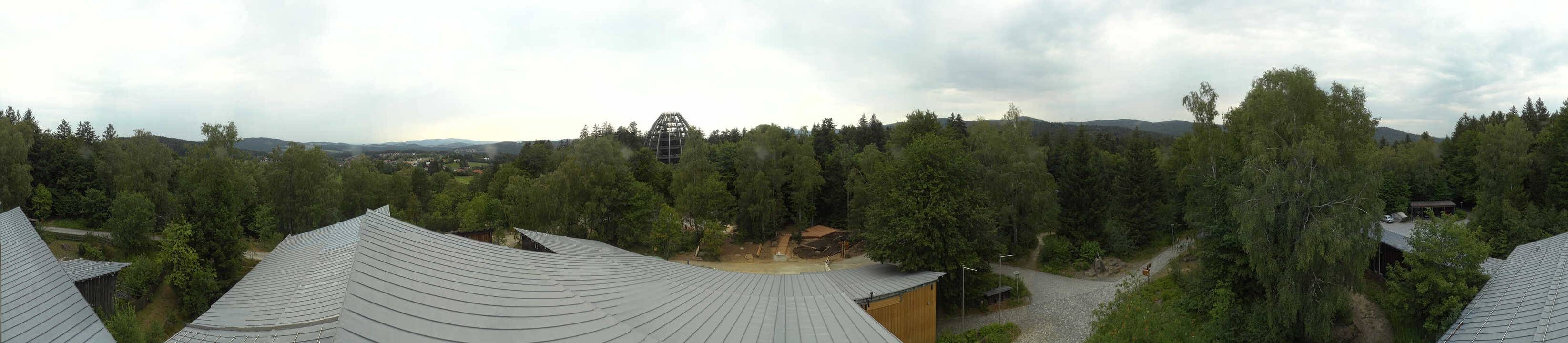 Archiv Foto Webcam Neuschönau - Baumwipfelpfad Bayerischer Wald