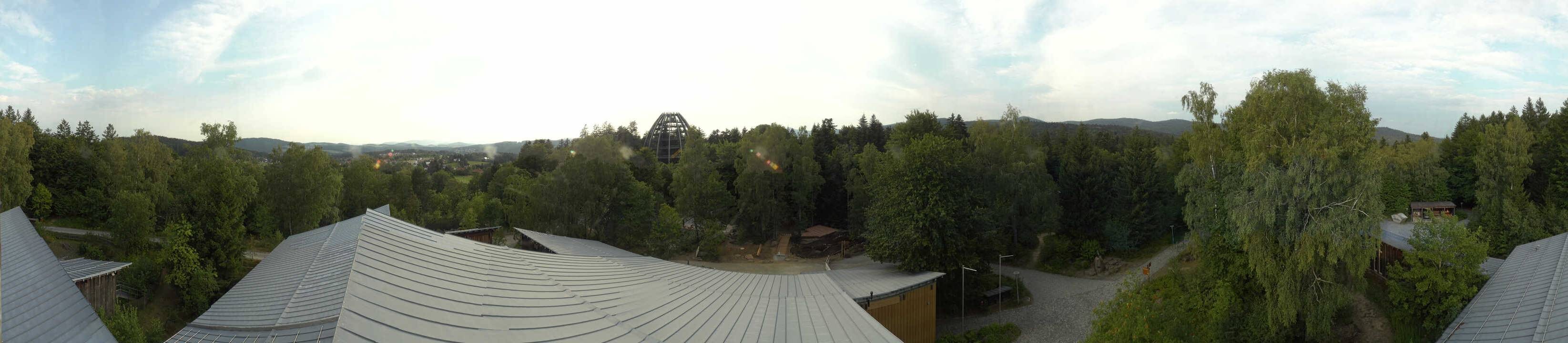 Archiv Foto Webcam Neuschönau - Baumwipfelpfad Bayerischer Wald