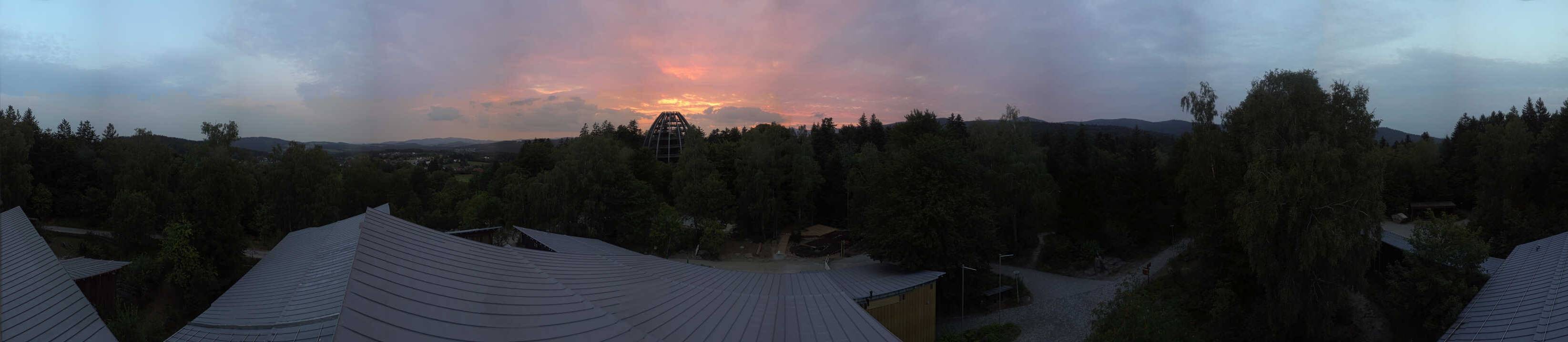 Archiv Foto Webcam Neuschönau - Baumwipfelpfad Bayerischer Wald