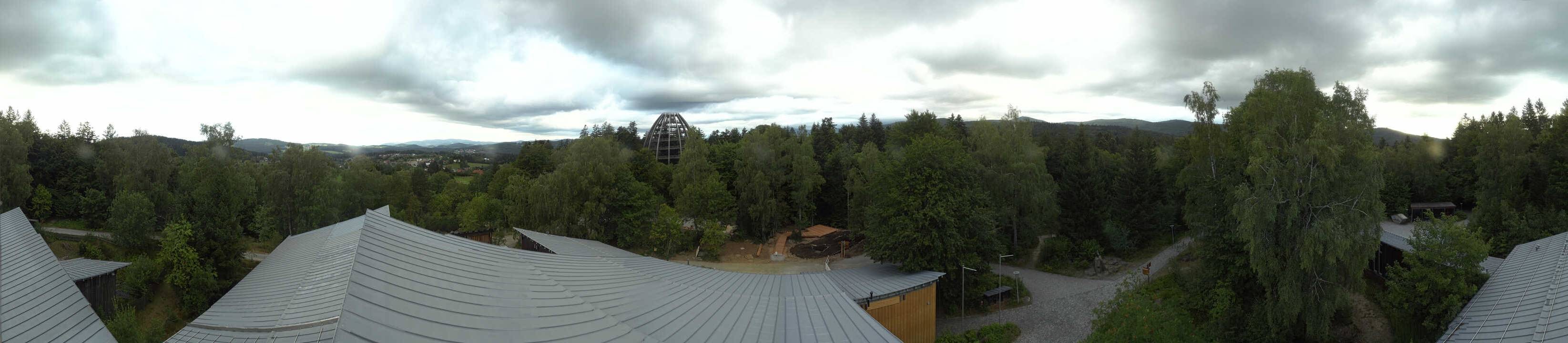 Archived image Webcam Neuschönau - Tree Top Walk Bavarian Forest