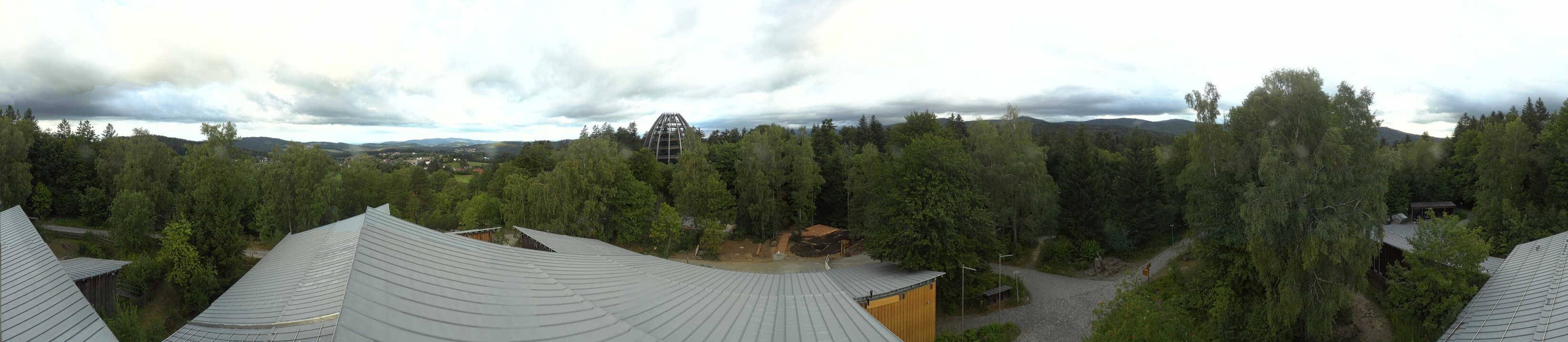 Archived image Webcam Neuschönau - Tree Top Walk Bavarian Forest