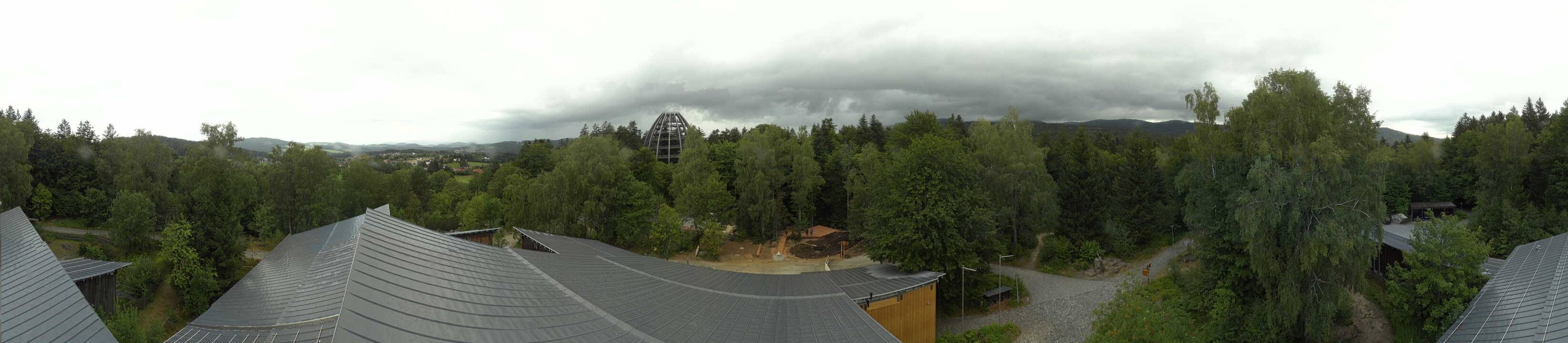Archived image Webcam Neuschönau - Tree Top Walk Bavarian Forest