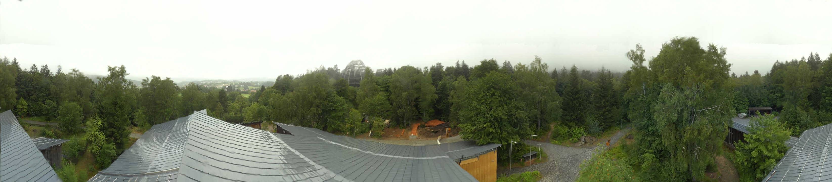Archived image Webcam Neuschönau - Tree Top Walk Bavarian Forest