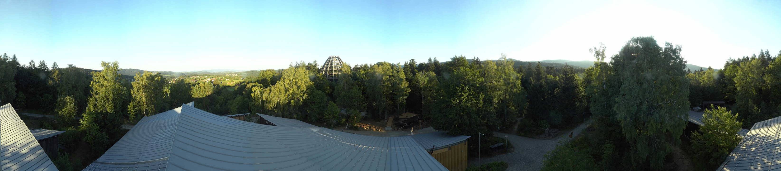 Archiv Foto Webcam Neuschönau - Baumwipfelpfad Bayerischer Wald