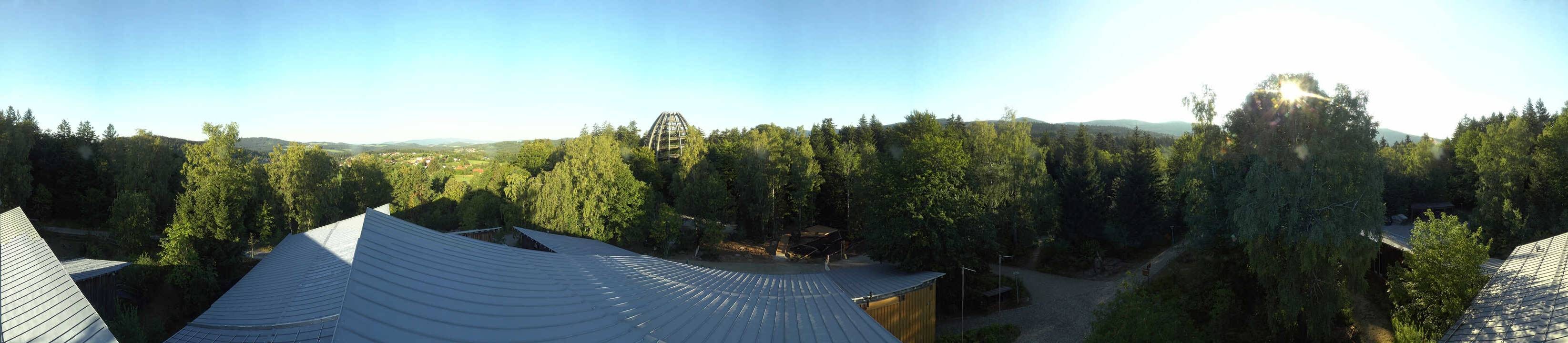 Archiv Foto Webcam Neuschönau - Baumwipfelpfad Bayerischer Wald