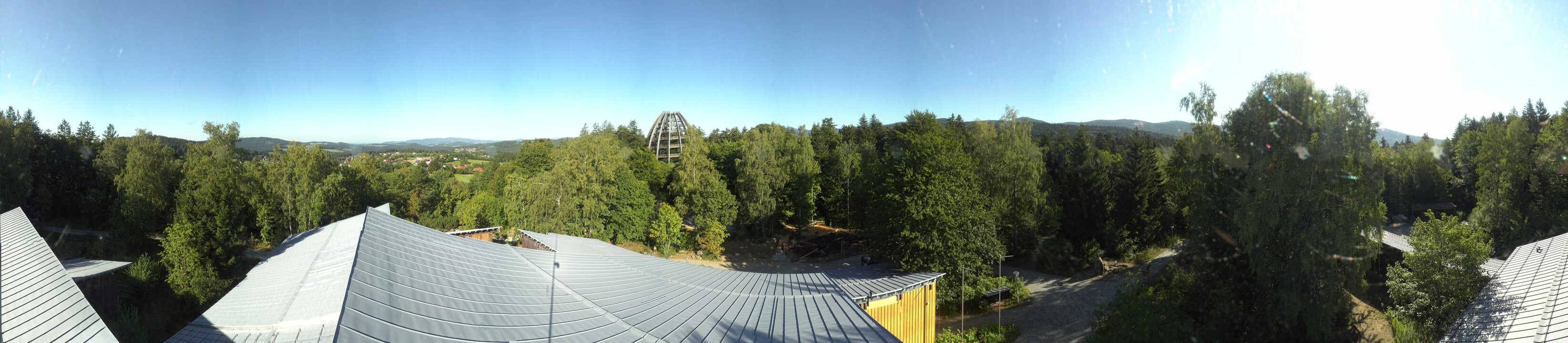 Archiv Foto Webcam Neuschönau - Baumwipfelpfad Bayerischer Wald