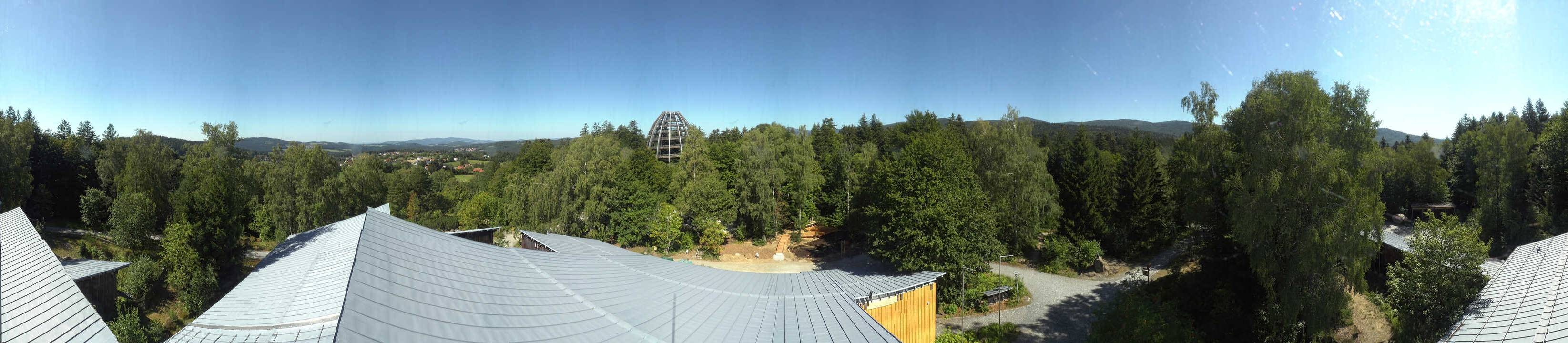 Archiv Foto Webcam Neuschönau - Baumwipfelpfad Bayerischer Wald