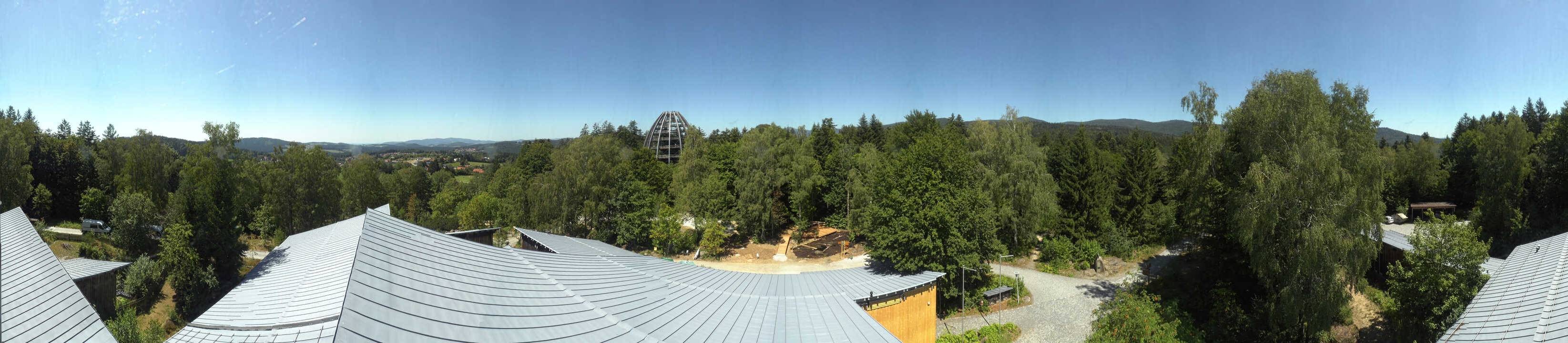 Archiv Foto Webcam Neuschönau - Baumwipfelpfad Bayerischer Wald