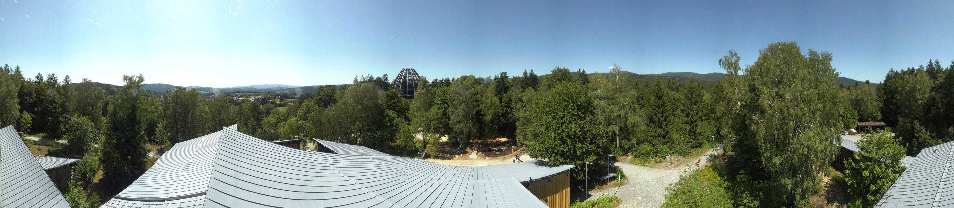 Archiv Foto Webcam Neuschönau - Baumwipfelpfad Bayerischer Wald