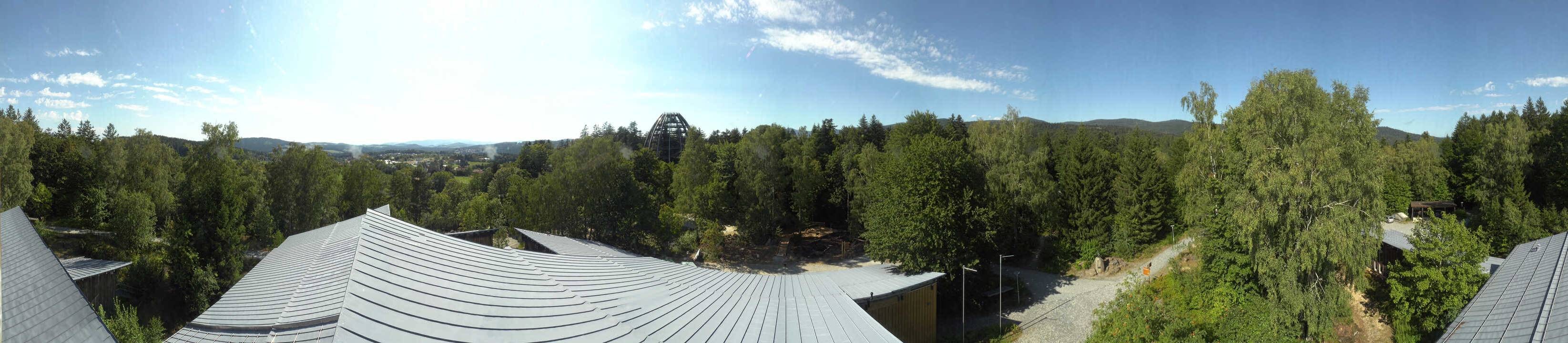 Archiv Foto Webcam Neuschönau - Baumwipfelpfad Bayerischer Wald