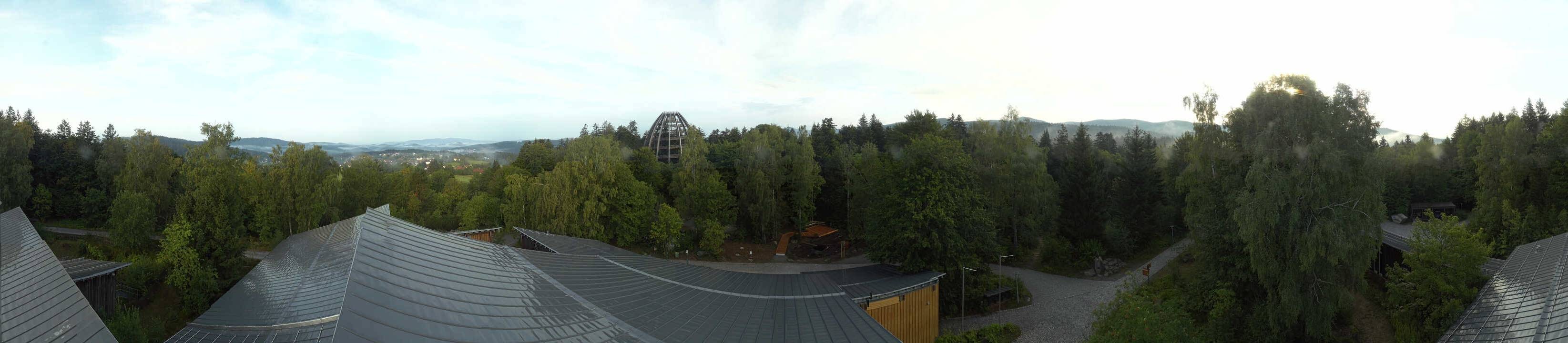 Archiv Foto Webcam Neuschönau - Baumwipfelpfad Bayerischer Wald