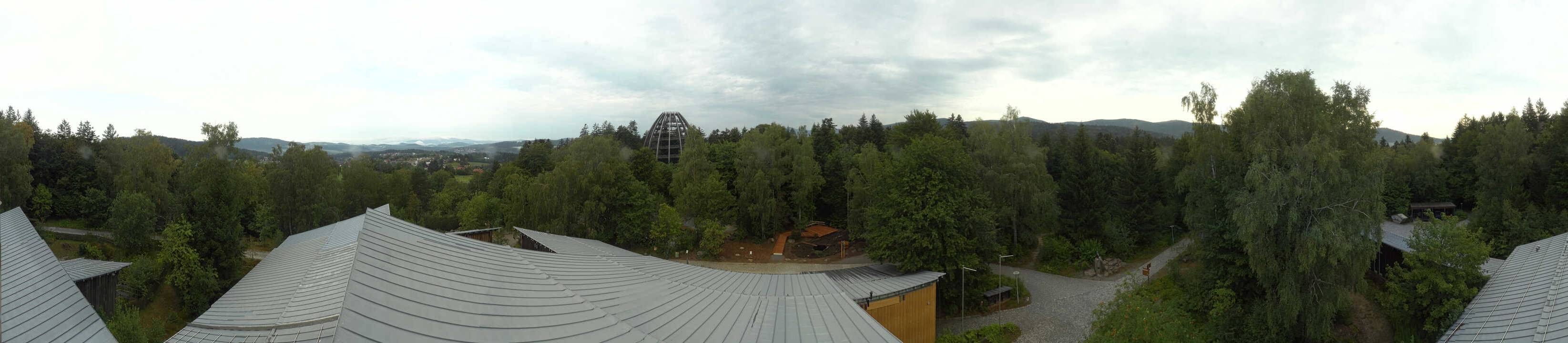Archiv Foto Webcam Neuschönau - Baumwipfelpfad Bayerischer Wald