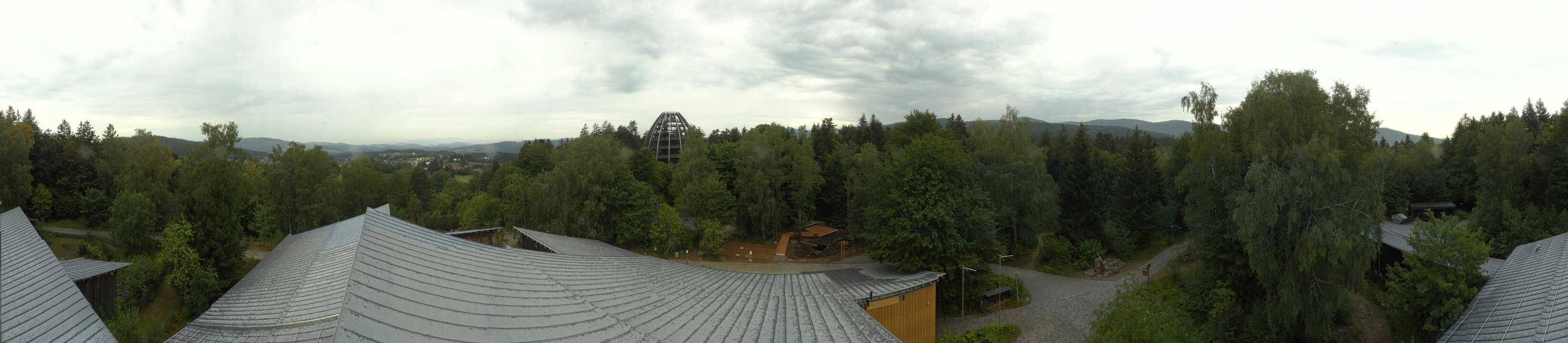 Archiv Foto Webcam Neuschönau - Baumwipfelpfad Bayerischer Wald