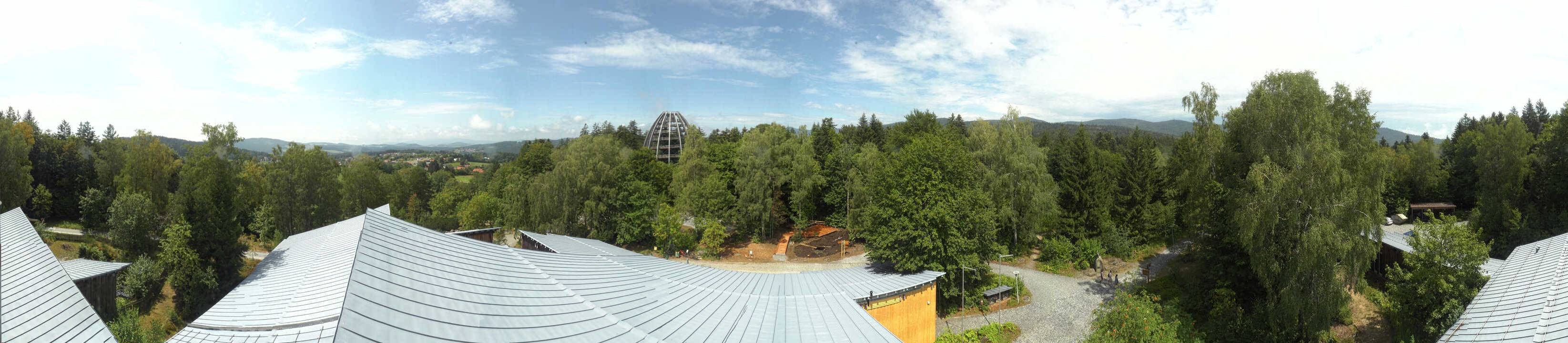 Archiv Foto Webcam Neuschönau - Baumwipfelpfad Bayerischer Wald