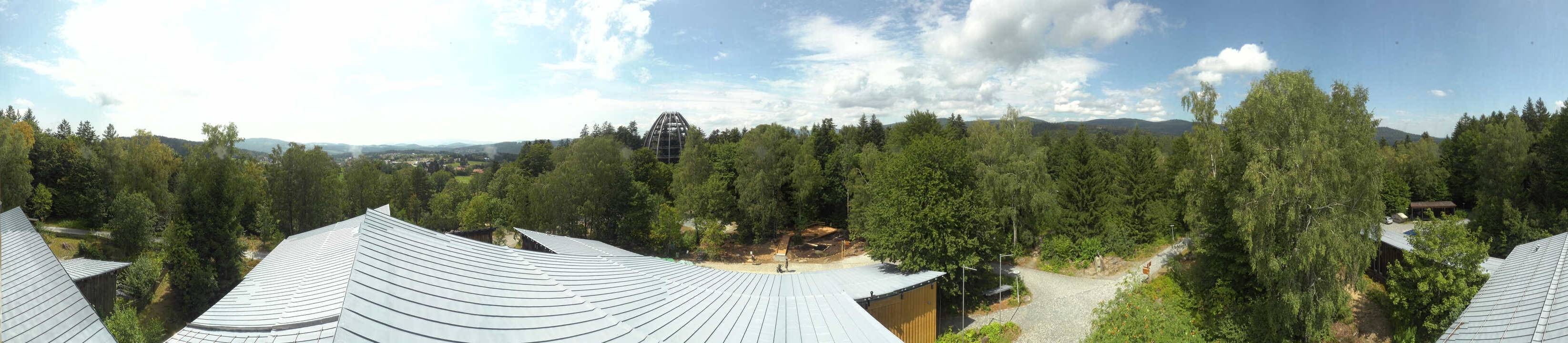 Archiv Foto Webcam Neuschönau - Baumwipfelpfad Bayerischer Wald
