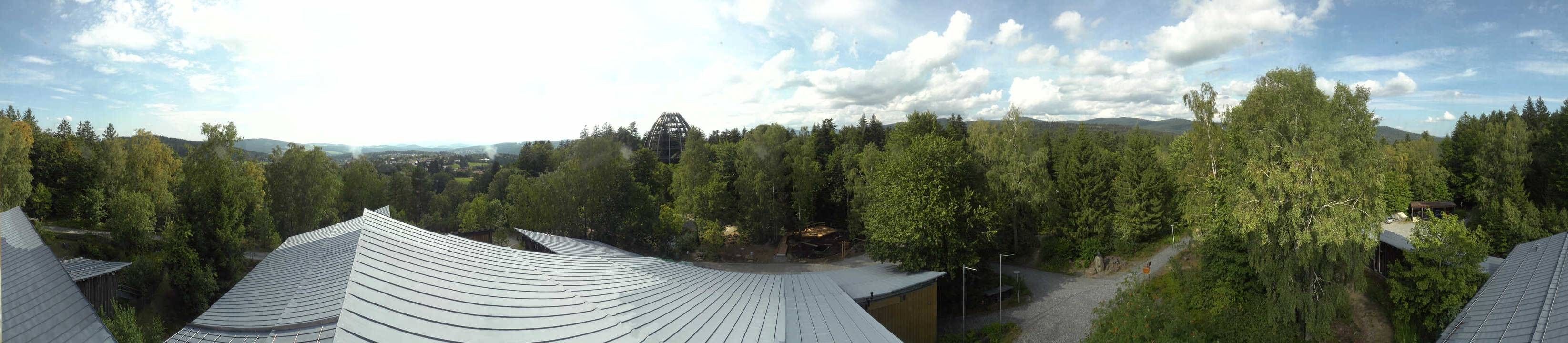 Archiv Foto Webcam Neuschönau - Baumwipfelpfad Bayerischer Wald