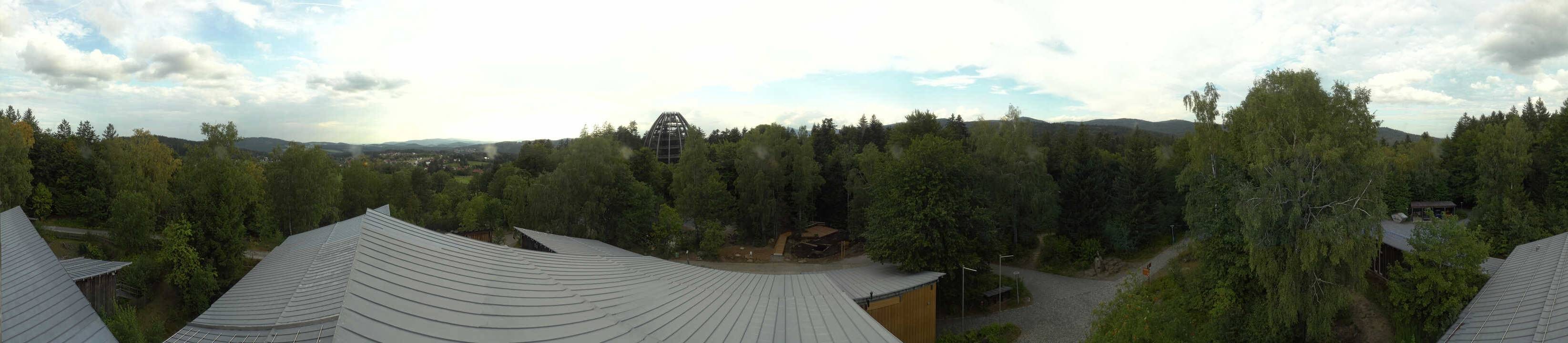 Archiv Foto Webcam Neuschönau - Baumwipfelpfad Bayerischer Wald