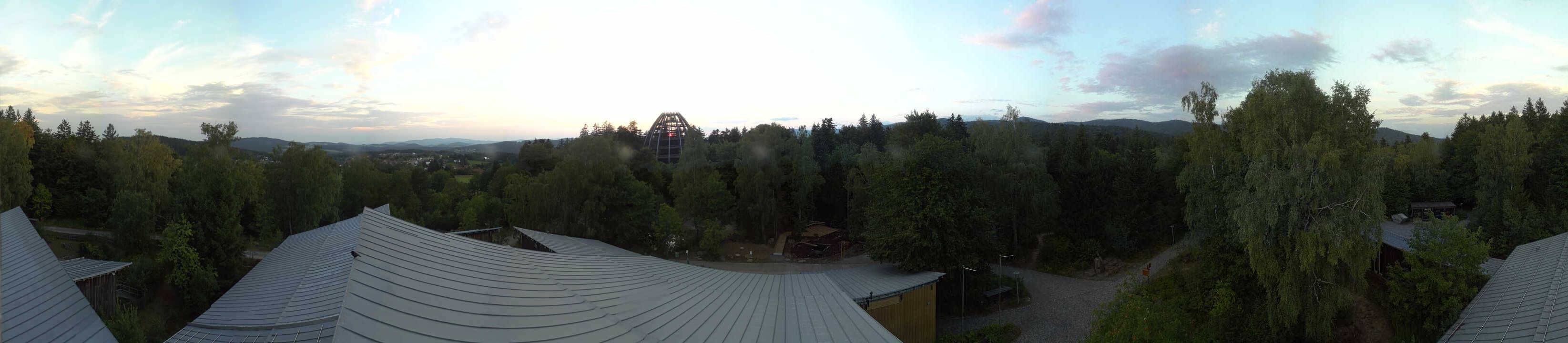 Archiv Foto Webcam Neuschönau - Baumwipfelpfad Bayerischer Wald