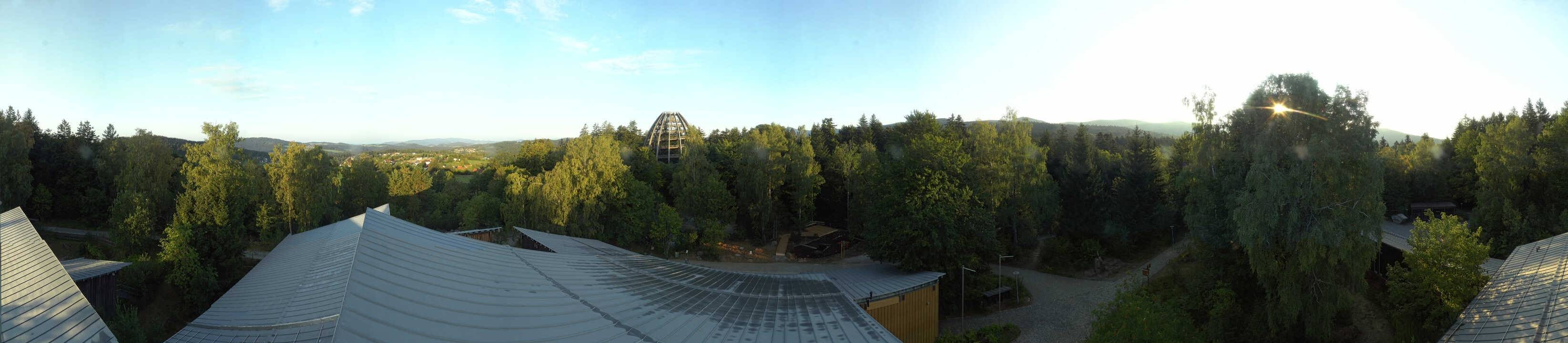 Archiv Foto Webcam Neuschönau - Baumwipfelpfad Bayerischer Wald